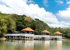 Rese&ntilde;a Puerta No.4