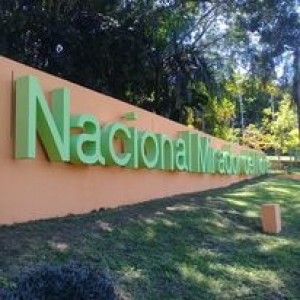 Datos importantes que debes saber.