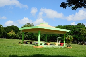 Rese&ntilde;a Puerta.1