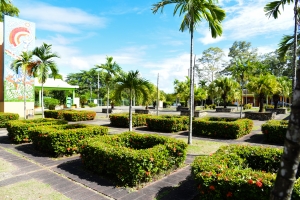 Rese&ntilde;a Puerta No.5