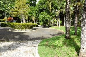 Rese&ntilde;a Puerta No.6